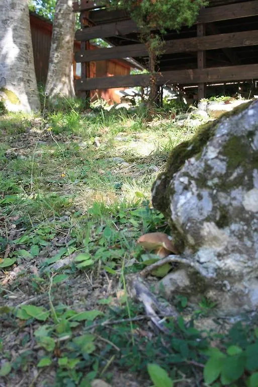 Campeggio Di Schia Hotel Tizzano Val Parma Campsite